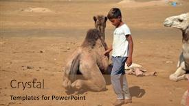  Presentation with camel - Slide set enhanced with bedouin-boy-with-his-camel background and a coral colored foreground