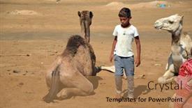  Presentation with camel - 