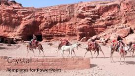  Presentation with petra - Beautiful PPT theme featuring bedouin-in-traditional-clothing backdrop and a coral colored foreground