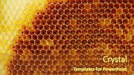  Presentation with cells - PPT layouts featuring bee colony - background with golden cells background and a tawny brown colored foreground