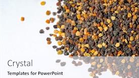  Presentation with pollen - PPT layouts enhanced with bee-gathered-pollen-granules-background background and a cool aqua colored foreground