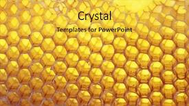  Presentation with bee - Presentation theme having bee hive background background and a yellow colored foreground