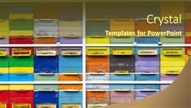 Presentation with bee hive - Cool new PPT theme with bee-hive-in-vipavska-dolina backdrop and a tawny brown colored foreground