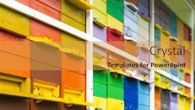  Presentation with bee hive - Presentation with bee-hive-in-vipavska-dolina background and a gold colored foreground