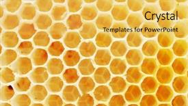  Presentation with teal and yellow - Presentation design enhanced with bee hives - bright yellow honeycomb background and a  colored foreground