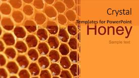  Presentation with honeycomb - Slide set consisting of bee hives - yellow beautiful honeycomb background background and a gold colored foreground