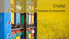  Presentation with bee hive - Colorful presentation design enhanced with bee hives at the edge backdrop and a gold colored foreground