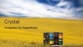  Presentation with frames of a bee hive - PPT theme having bee hives at the edge background and a gold colored foreground