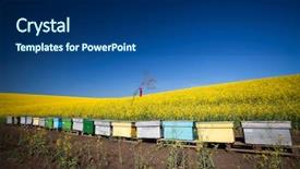  Presentation with bee - Presentation design enhanced with bee hives at the edge background and a ocean colored foreground