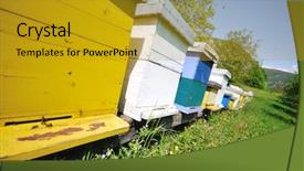  Presentation with ecology - Colorful presentation theme enhanced with bee home at meadow backdrop and a gold colored foreground