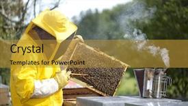  Presentation with honey bee honeycomb - Presentation theme with bee human - beekeeper with honeycomb background and a  colored foreground
