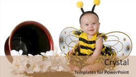  Presentation with bumblebee - Beautiful PPT layouts featuring bee human - cute baby dressed up backdrop and a coral colored foreground
