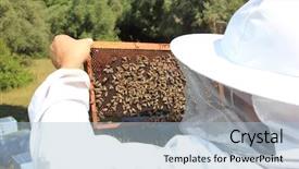  Presentation with bee - Amazing PPT theme having bee keeper with bee colony backdrop and a light blue colored foreground