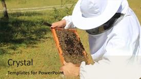  Presentation with bee - Beautiful PPT theme featuring bee keeper with bee colony backdrop and a gold colored foreground