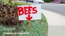  Presentation with water meter - Slide set enhanced with bee-s-sign-a-red background and a seafoam green colored foreground