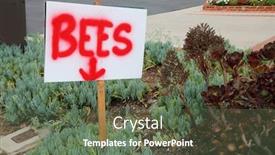  Presentation with spray paint - Beautiful presentation theme featuring bee-s-sign-a-red backdrop and a ocean colored foreground