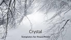  Presentation with snow covered trees and falling - Audience pleasing theme consisting of beech forest in nebrodi park backdrop and a light gray colored foreground