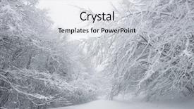  Presentation with trail - PPT layouts featuring beech forest in nebrodi park background and a light gray colored foreground