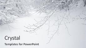  Presentation with trail - Cool new slides with beech forest in nebrodi park backdrop and a white colored foreground