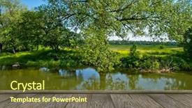  Presentation with spring tree - Beautiful presentation theme featuring beech tree forest during spring backdrop and a tawny brown colored foreground