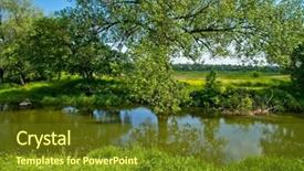  Presentation with forest beautiful spring nature - Slide deck with beech tree forest during spring background and a tawny brown colored foreground