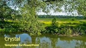  Presentation with spring tree - Amazing theme having beech tree forest during spring backdrop and a tawny brown colored foreground