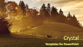  Presentation with beef cattle farm - Beautiful slide set featuring beef cattle farm - image of a nice autumn backdrop and a tawny brown colored foreground