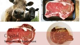  Presentation with bone - Slide deck having beef-rib-steak-usda-choice background and a  colored foreground
