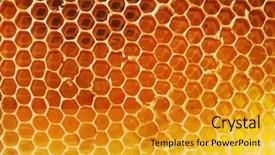  Presentation with honey - Audience pleasing slide deck consisting of beehives - honey beehive backdrop and a gold colored foreground