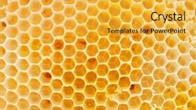  Presentation with honey - Theme enhanced with beehives - honey beehive background and a  colored foreground