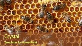  Presentation with comb bee - Slides with beehives - honey comb and a bee background and a tawny brown colored foreground