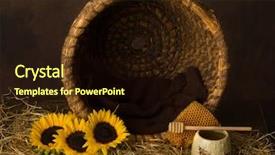  Presentation with geography old nautical vintage world - Cool new PPT theme with beehives - vintage old beehive basket still backdrop and a wine colored foreground