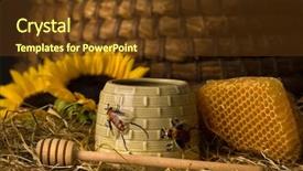  Presentation with geography old nautical treasure vintage - Cool new presentation with beehives - vintage old beehive basket still backdrop and a tawny brown colored foreground