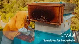  Presentation with frame - Slide set enhanced with beekeeper-checking-honey background and a ocean colored foreground