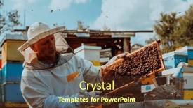  Presentation with honey bee kids - Slide deck featuring beekeeper-checking-honey background and a tawny brown colored foreground