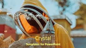  Presentation with honey bee kids - PPT theme with beekeeper-checking-honey background and a tawny brown colored foreground