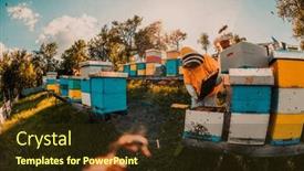  Presentation with constructionsteel frame - Slide set enhanced with beekeeper-checking-honey background and a tawny brown colored foreground