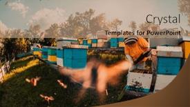  Presentation with honey bee kids - Slide deck with beekeeper-checking-honey background and a coral colored foreground