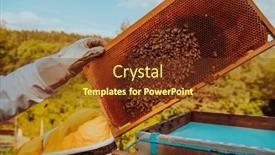  Presentation with honey bee kids - Presentation theme having beekeeper-checking-honey background and a tawny brown colored foreground