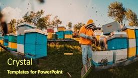  Presentation with honey bee kids - Presentation theme featuring beekeeper-checking-honey background and a tawny brown colored foreground