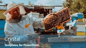  Presentation with honey bee kids - Presentation consisting of beekeeper-checking-honey background and a ocean colored foreground