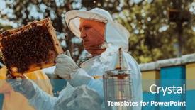  Presentation with honey bee kids - Presentation with beekeeper-checking-honey background and a teal colored foreground