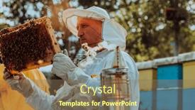  Presentation with honey bee kids - Presentation enhanced with beekeeper-checking-honey background and a violet colored foreground