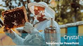  Presentation with honey bee kids - Presentation theme consisting of beekeeper-checking-honey background and a teal colored foreground