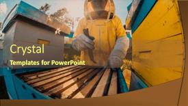  Presentation with honey - 