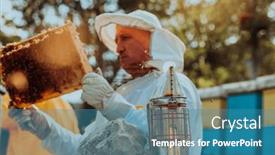  Presentation with honey - Presentation design consisting of beekeeper-checking-honey background and a teal colored foreground