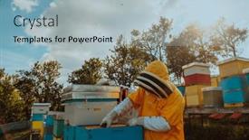  Presentation with honey bee kids - Theme enhanced with beekeeper-checking-honey background and a light gray colored foreground