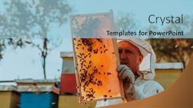  Presentation with frame of healthy spicy food - Presentation design with beekeeper-checking-honey background and a light blue colored foreground