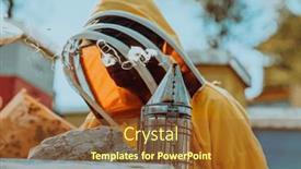  Presentation with honey whiskey - Slide deck enhanced with beekeeper-checking-honey background and a tawny brown colored foreground