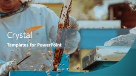  Presentation with frame of healthy spicy food - Slides with beekeeper-checking-honey background and a  colored foreground